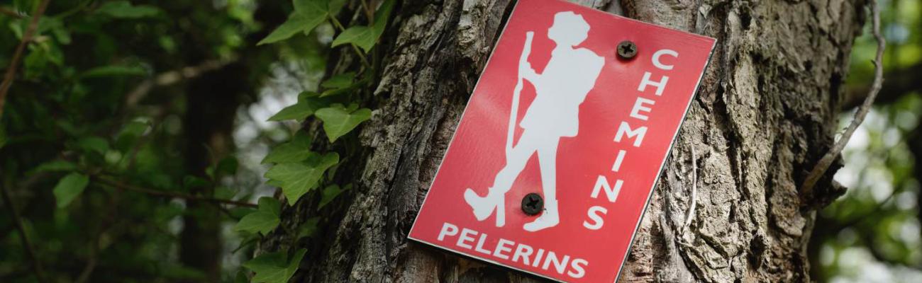 Pelgrimswegen